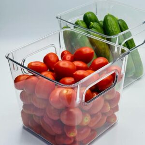 זוג ארגוניות אקריל Tomy